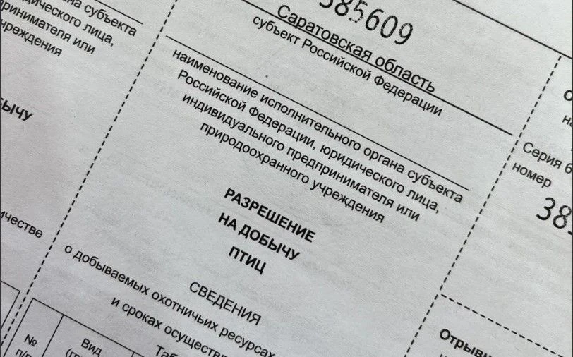 На текущей неделе начинается выдача разрешений на пернатую дичь
