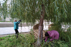 IMG-20220930-WA0026