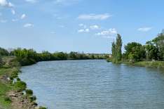 IMG_6607