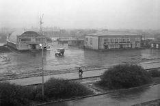 1988г.