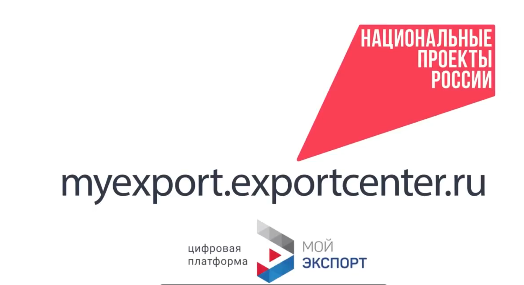 Цифровая платформа «Мой экспорт»: новые возможности для бизнеса