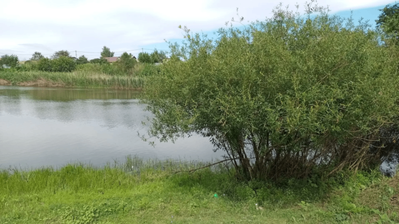 На этой неделе краснокутцев ждут кратковременные дожди