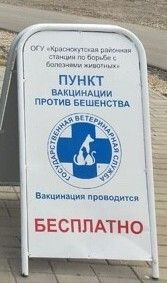 В Краснокутском районе пройдет прививка домашних животных от бешенства