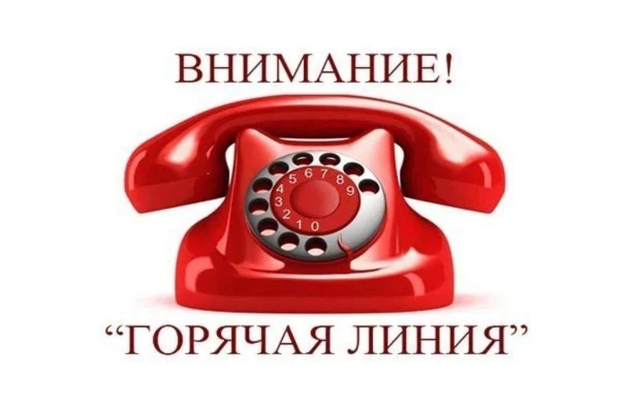 Роспотребнадзор Саратовской области запускает горячую линию по детским товарам